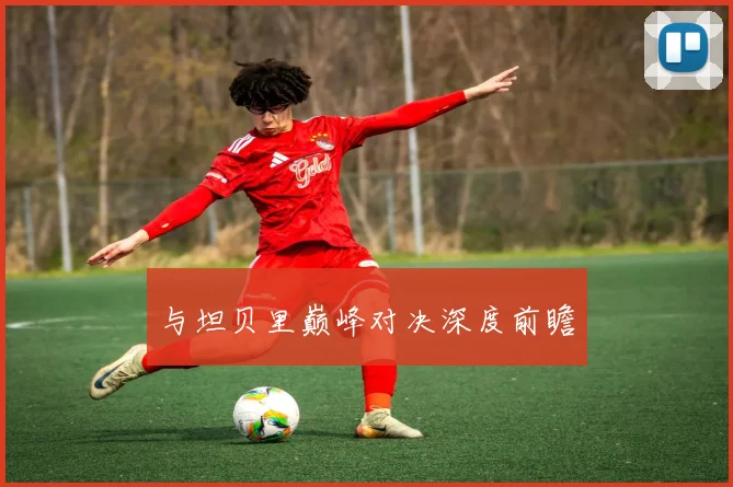 与坦贝里巅峰对决深度前瞻