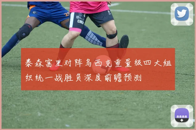 泰森富里对阵乌西克重量级四大组织统一战胜负深度前瞻预测