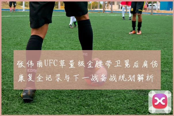 张伟丽UFC草量级金腰带卫冕后肩伤康复全记录与下一战备战规划解析