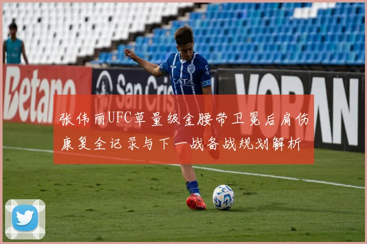 张伟丽UFC草量级金腰带卫冕后肩伤康复全记录与下一战备战规划解析