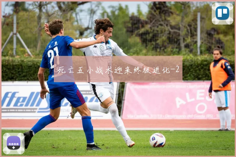 死亡五小战术迎来终极进化