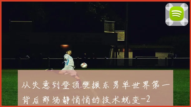 从失意到登顶樊振东男单世界第一背后那场静悄悄的技术蜕变